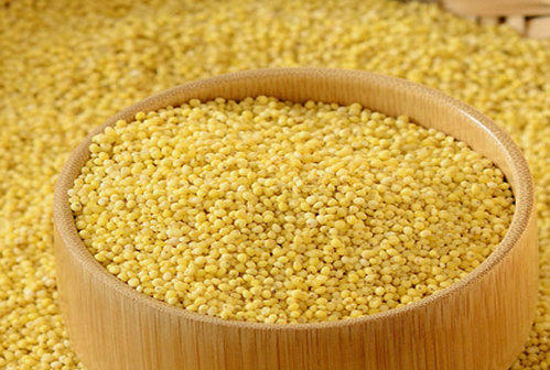 Foxtail Millet (Navane)