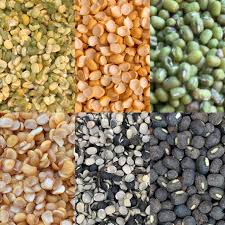 The Protein Powerhouse in Your Kitchen — Why Pulses Deserve More Love